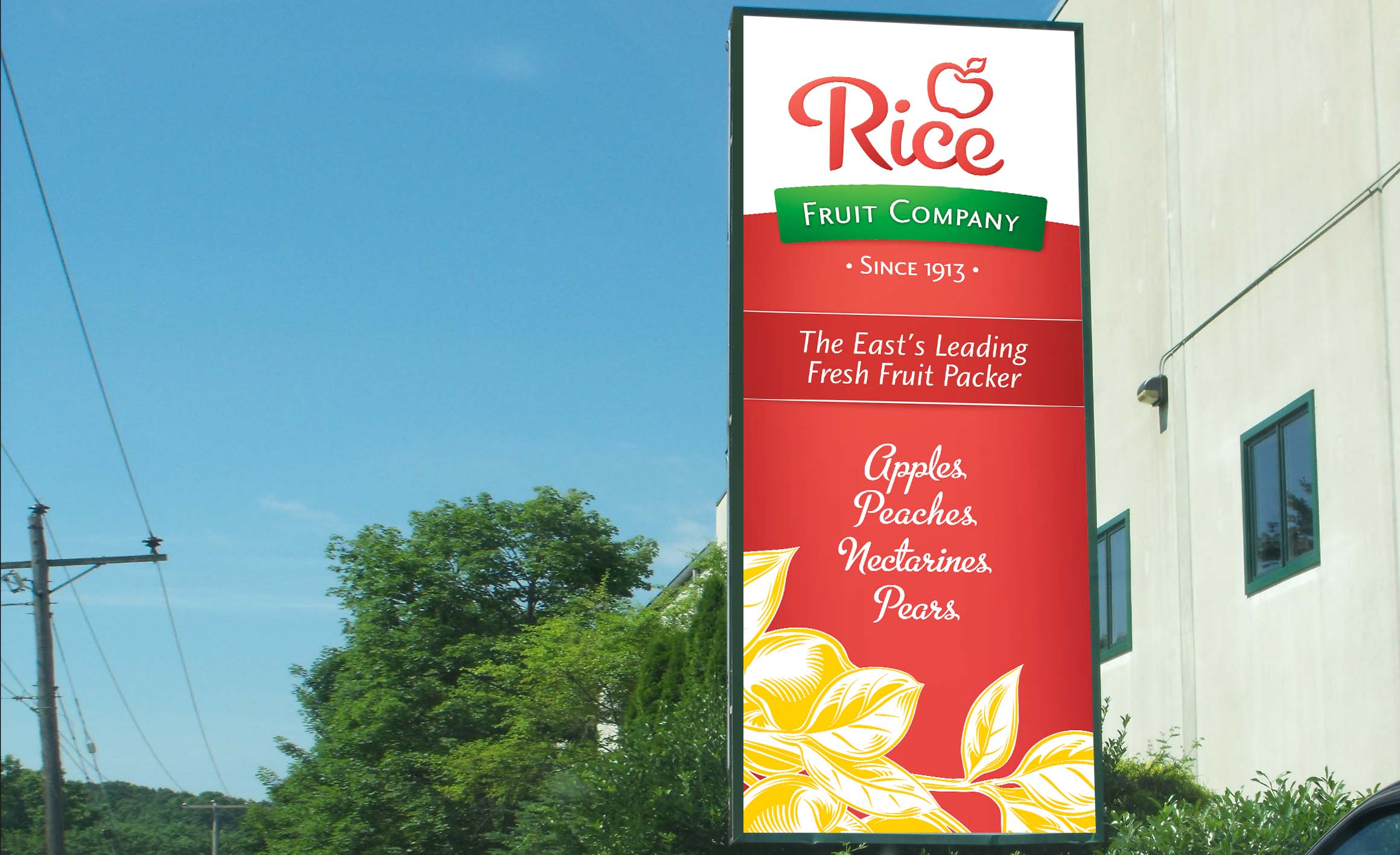 rice fruit banner wide